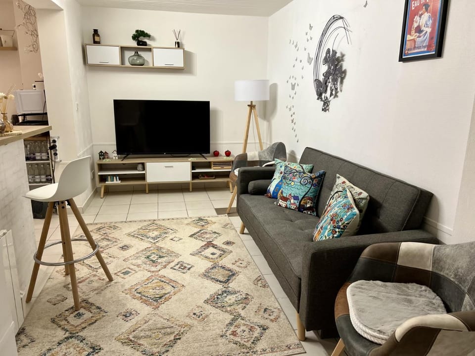 Charmant appartement au cœur de Vichy Apartment in Auvergne-Rhône-Alpes