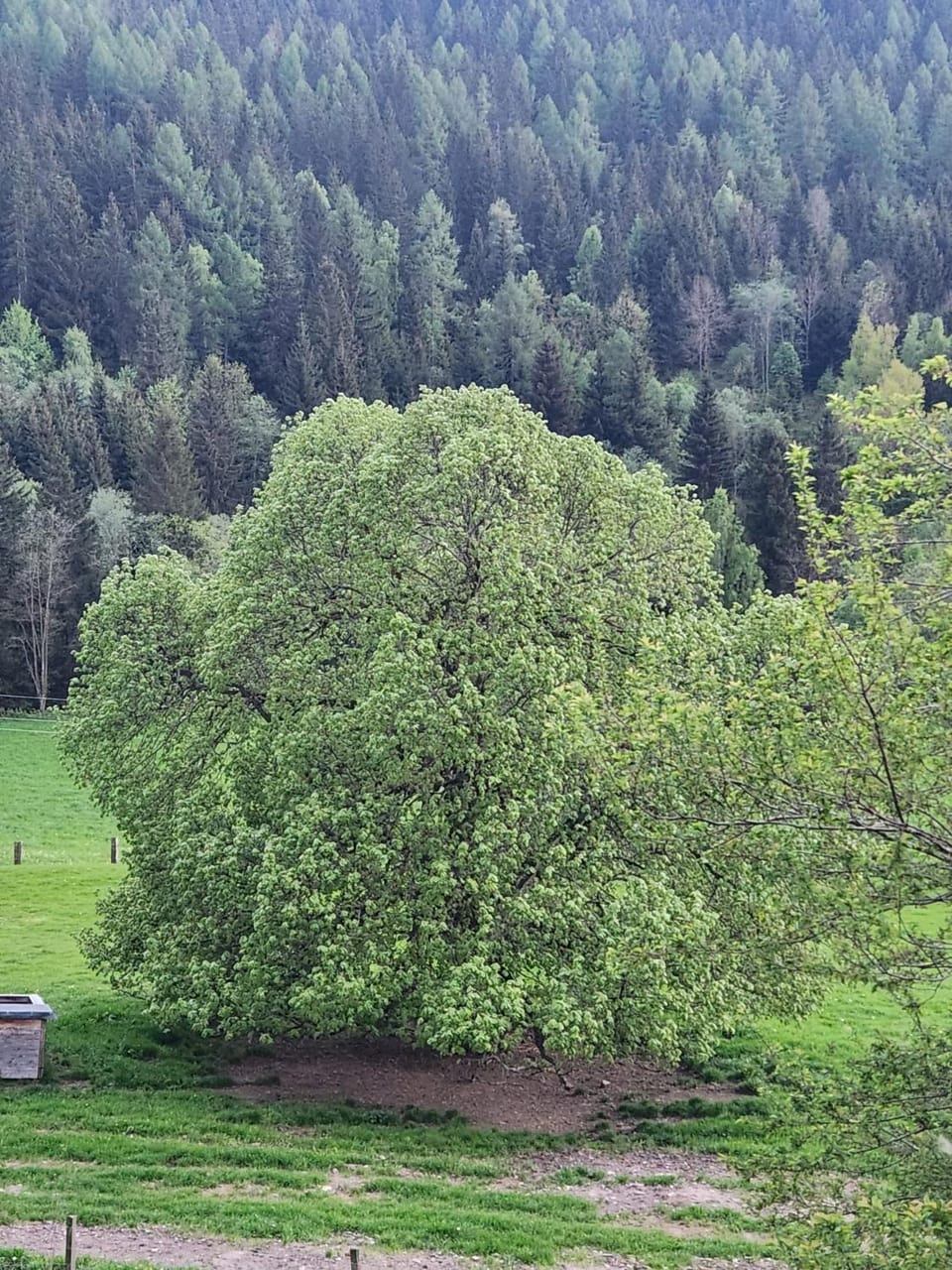 Day, Natural landscape, View (from property/room), View (from property/room)