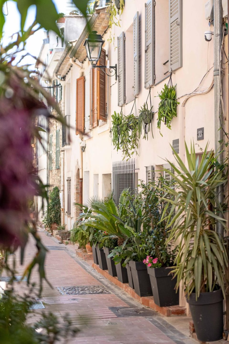 Les Petits Volets Studio à 100m de la mer Apartment in Antibes