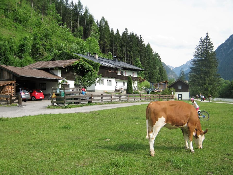 Natural landscape