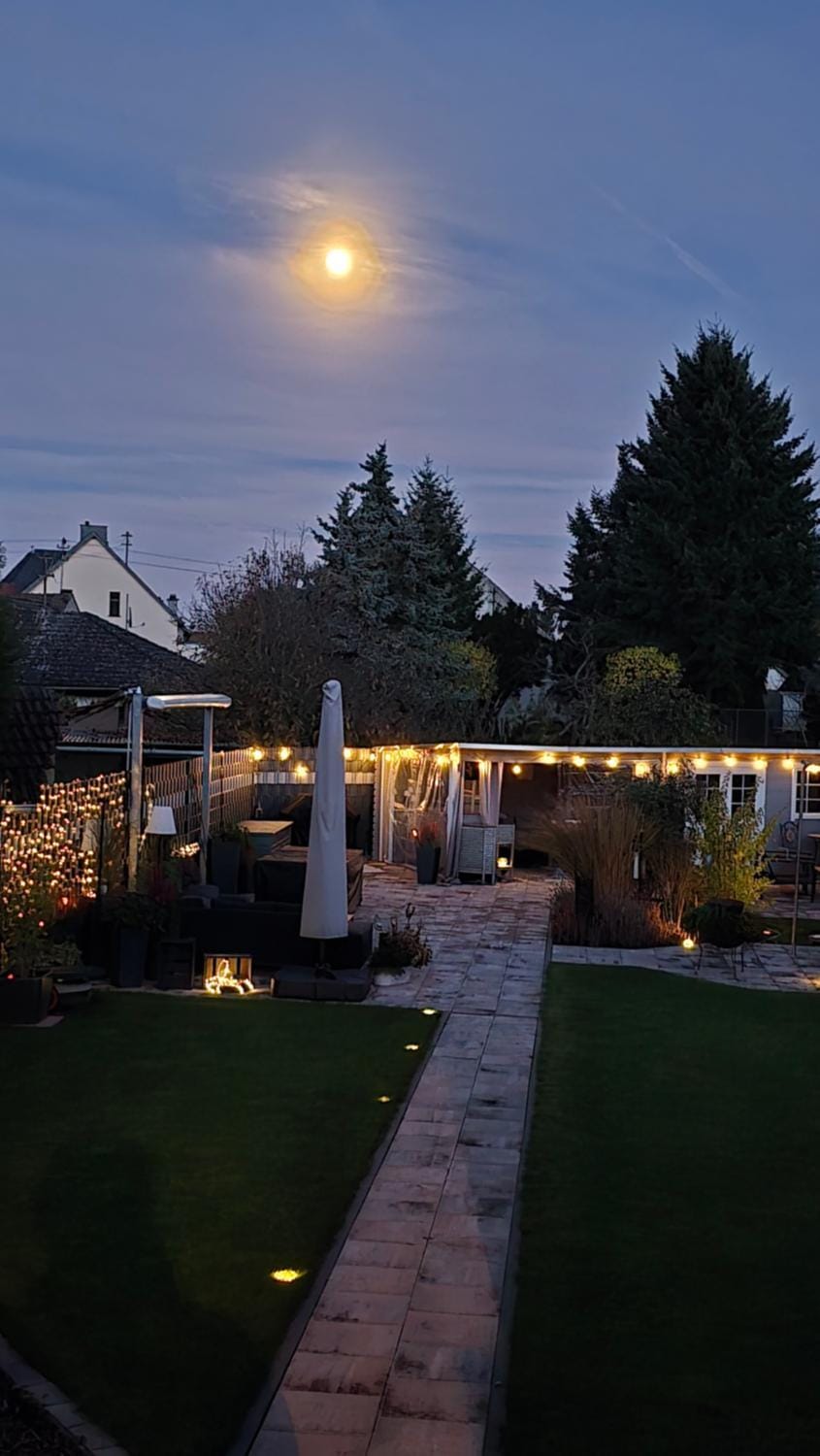 Night, Garden, Garden view
