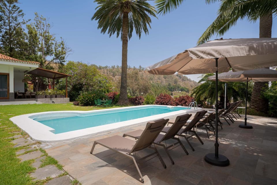 Garden, Swimming pool, sunbed