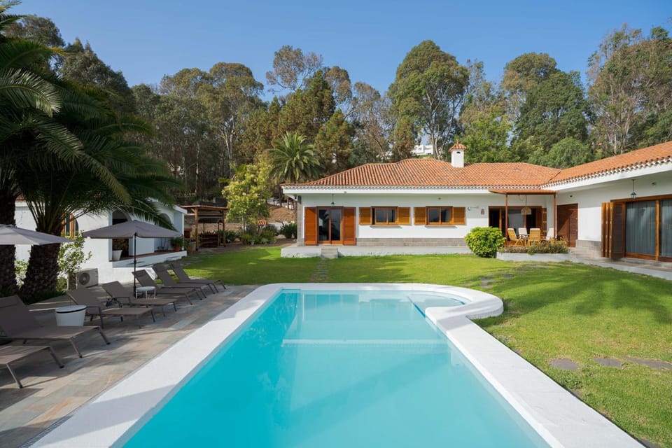 Day, Garden, Swimming pool, sunbed