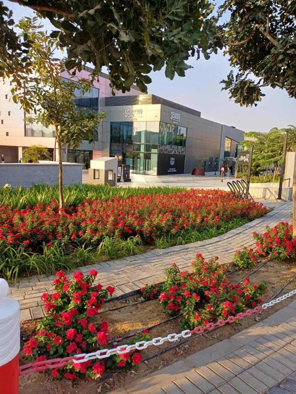 Natural landscape, Garden