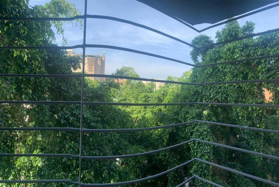 Garden view