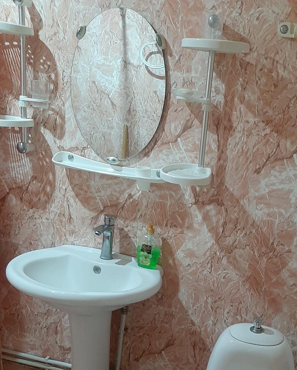 Hotel MANTASHOV Apartment in Armenia