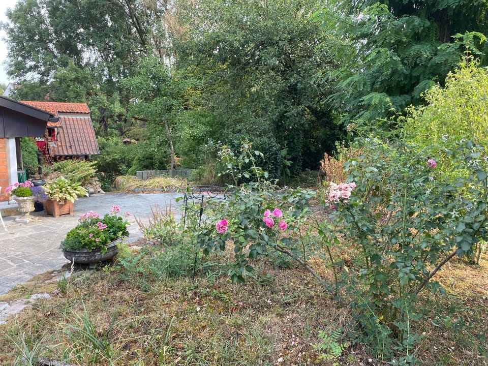 Garden view
