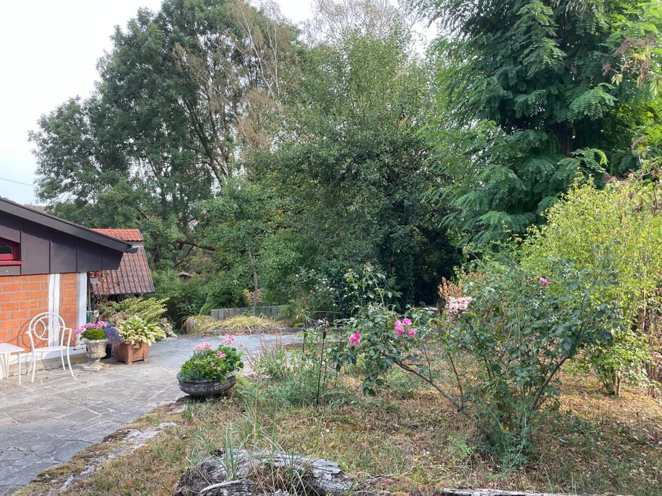 Garden view
