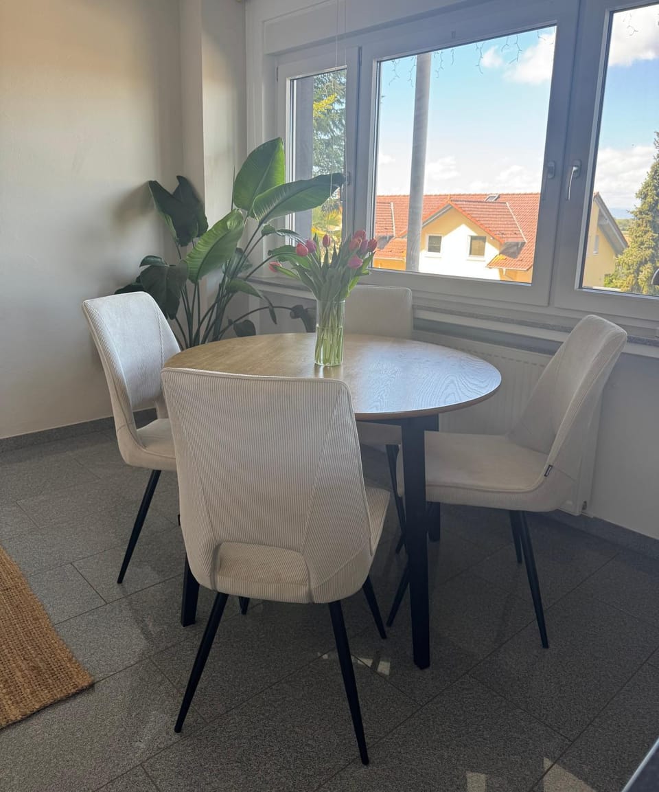 Vogesenblick nähe Europapark und Straßburg Apartment in Offenburg