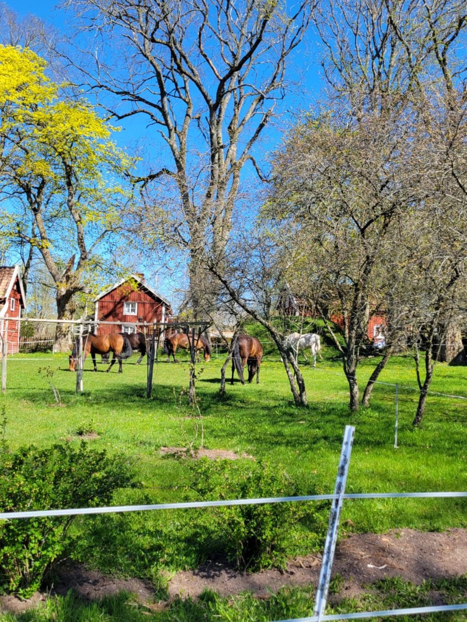 Stastugan Villa in Västra Götaland County