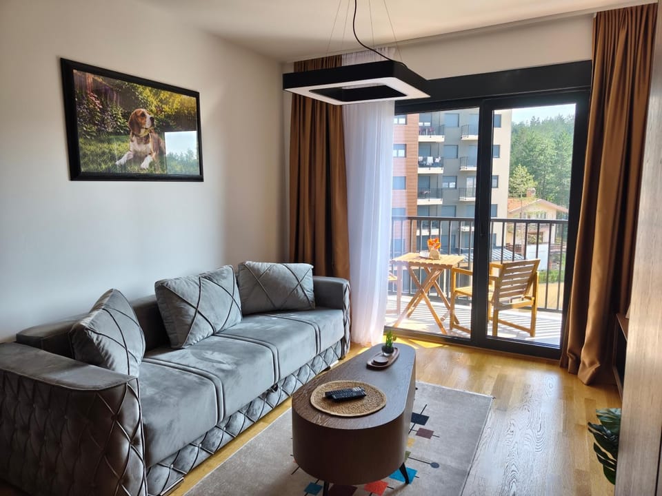 Panorama Tornik Wellness and spa Apartment in Zlatibor