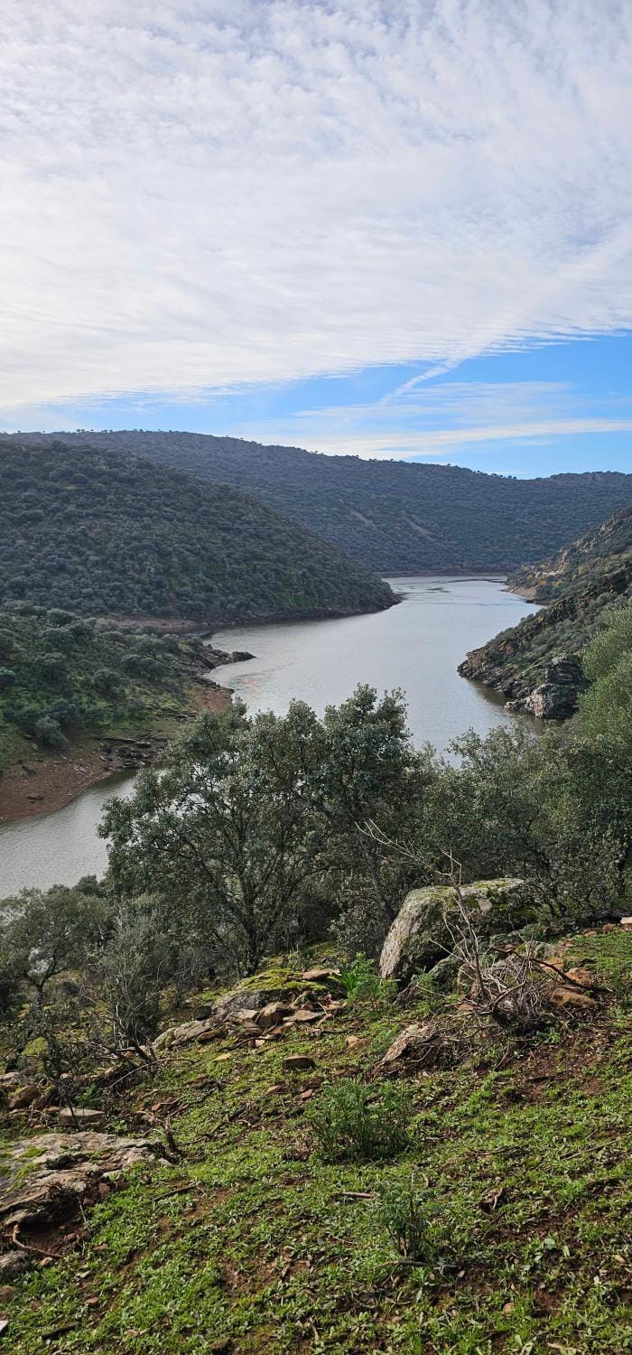 River view