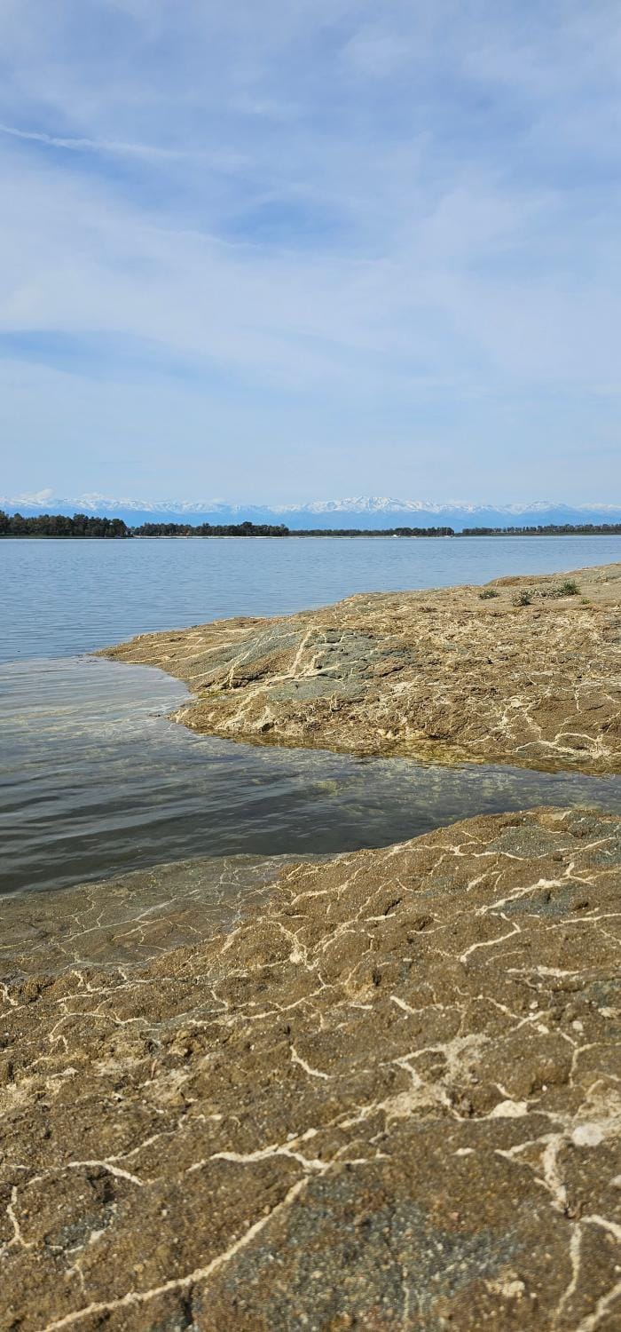 Lake view