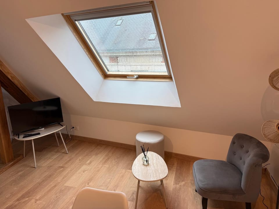 Appartement cosy en centre ville Apartment in Nouvelle-Aquitaine