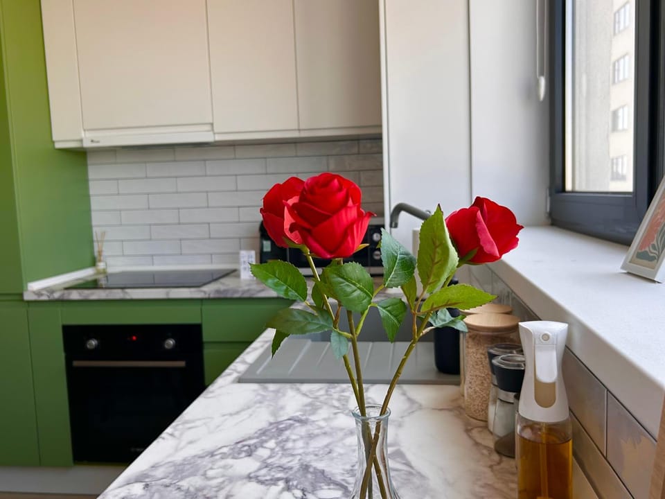 Kitchen or kitchenette, stove