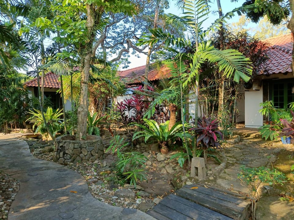Garden view, Garden view