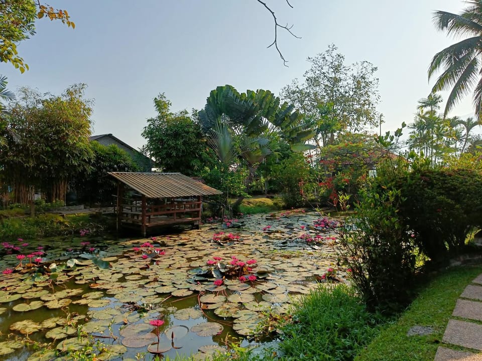 Lake view