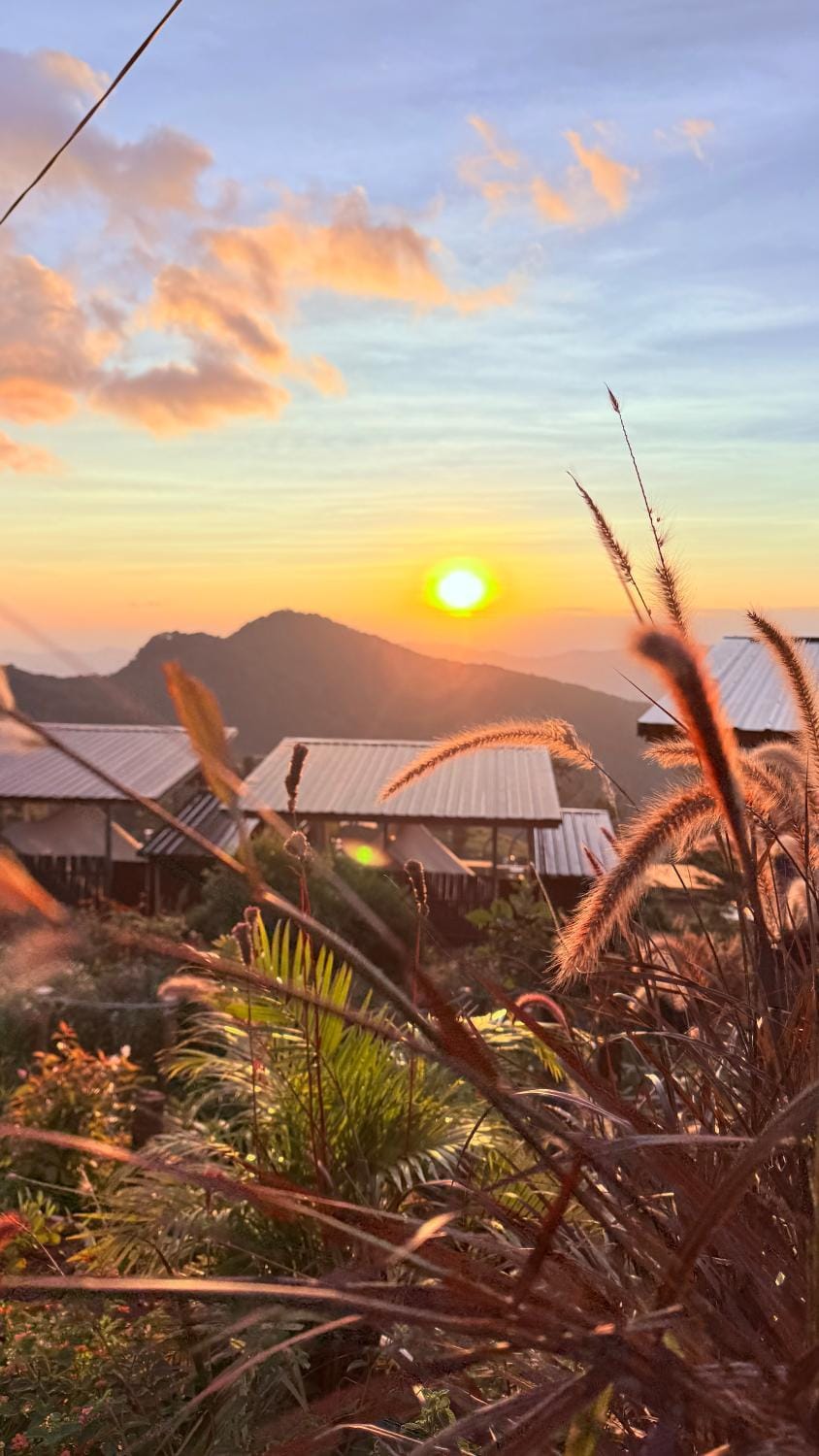 มองวิวภูชี้ฟ้า รีสอร์ท Luxury tent in Thailand