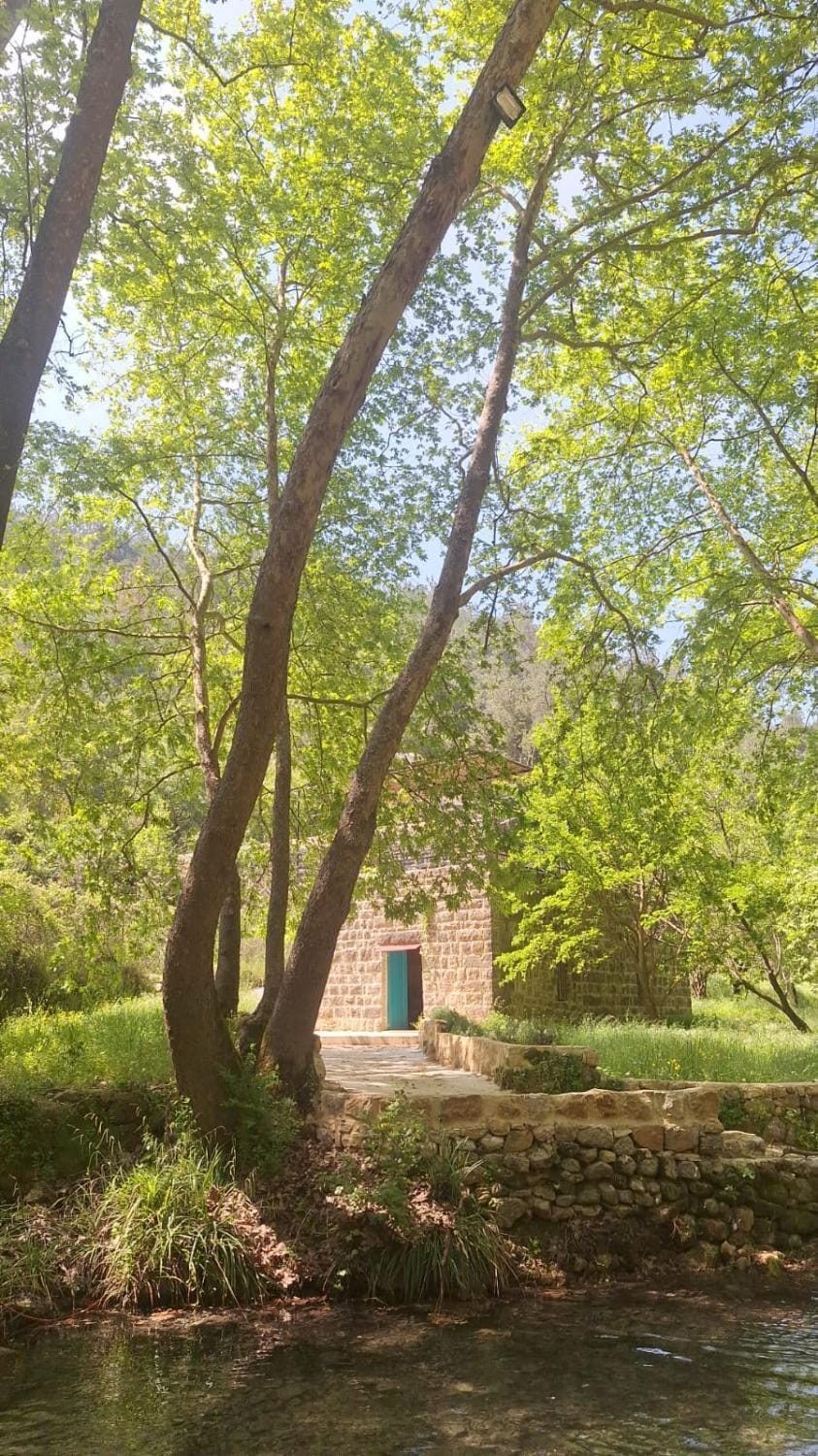Bayt Broud Bed and Breakfast in Africa