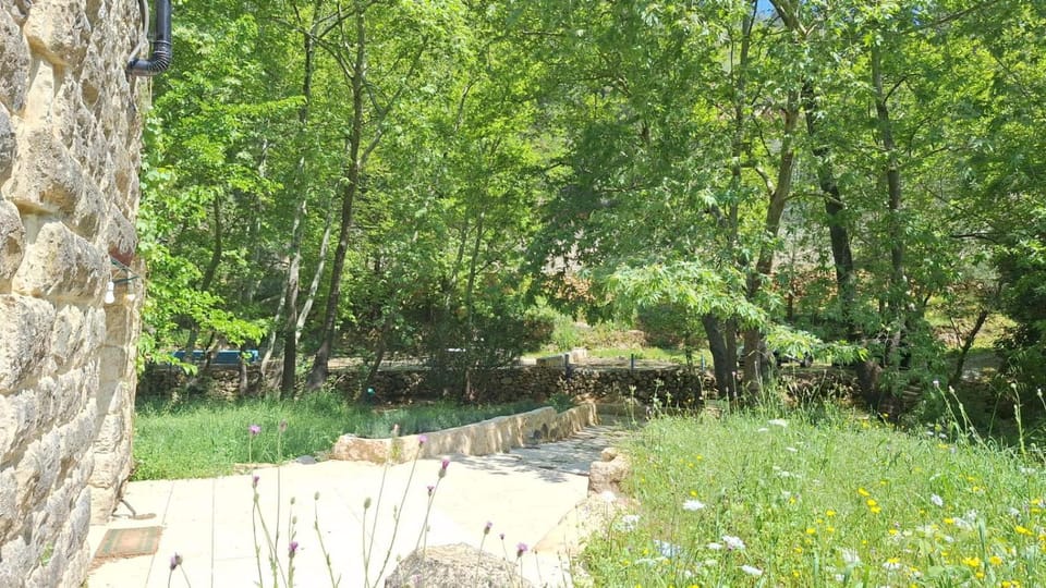 Bayt Broud Bed and Breakfast in Africa