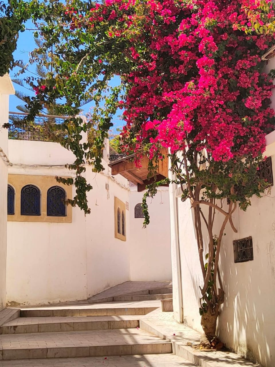 RIAD SOUISSi Riad in Rabat