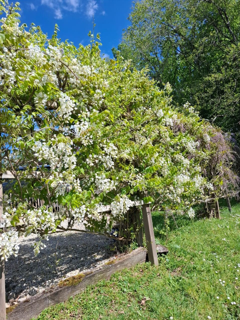 La parenthèse Bed and Breakfast in Nouvelle-Aquitaine
