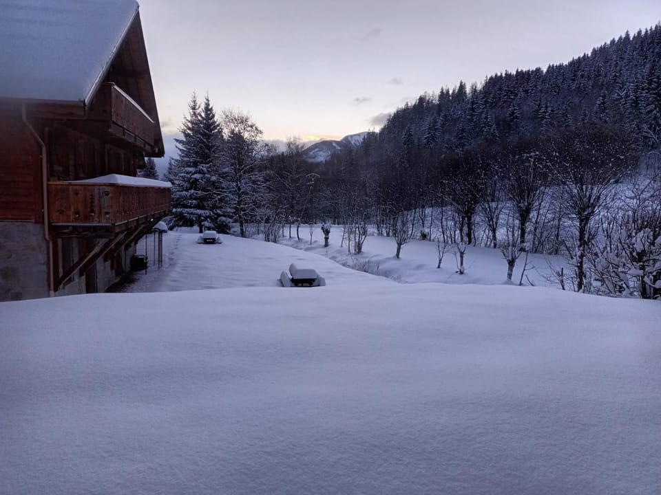 Natural landscape