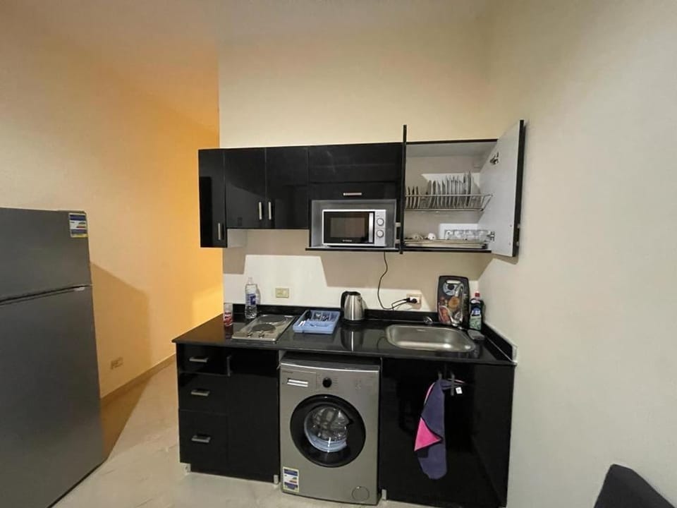 Kitchen or kitchenette, minibar, oven, washing machine