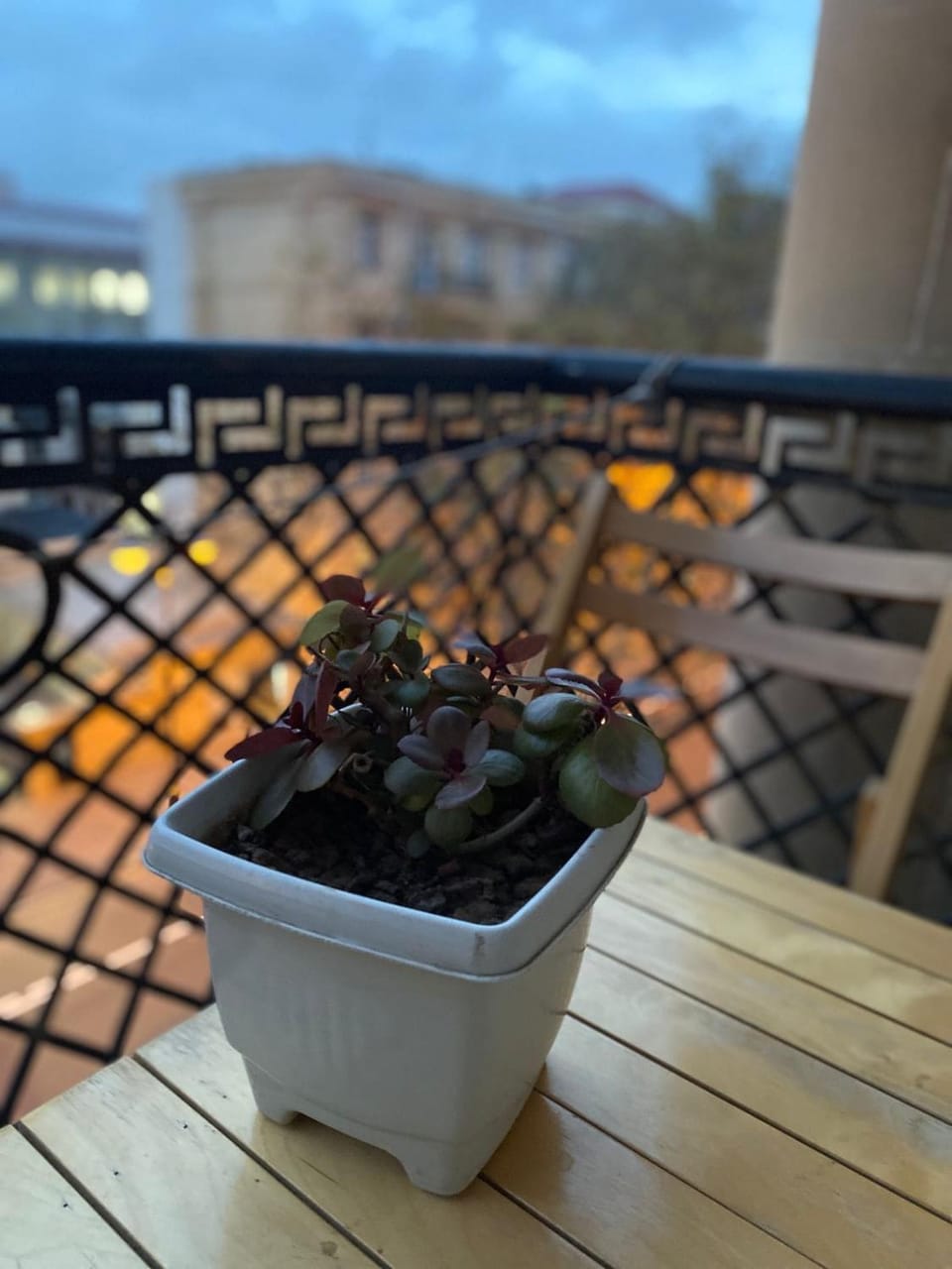 Balcony/Terrace