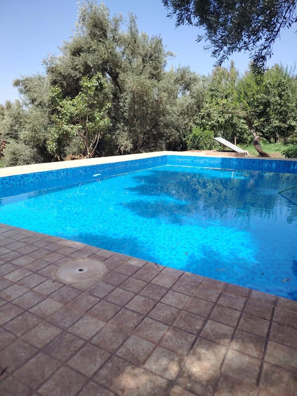 Dar mmima House in Marrakesh-Safi