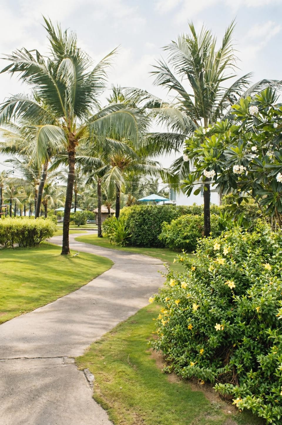 Natural landscape, Garden, Other, Garden view