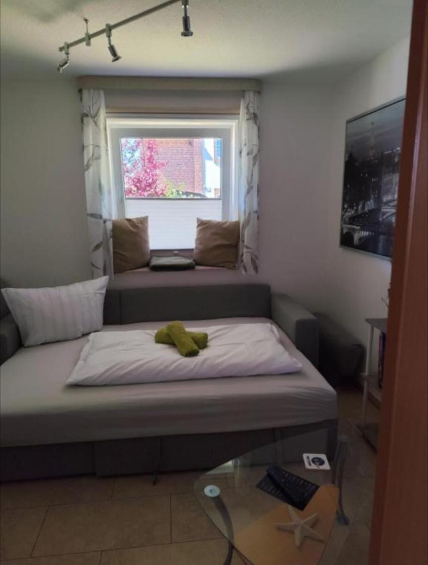 Bed, Living room, Photo of the whole room, Bedroom