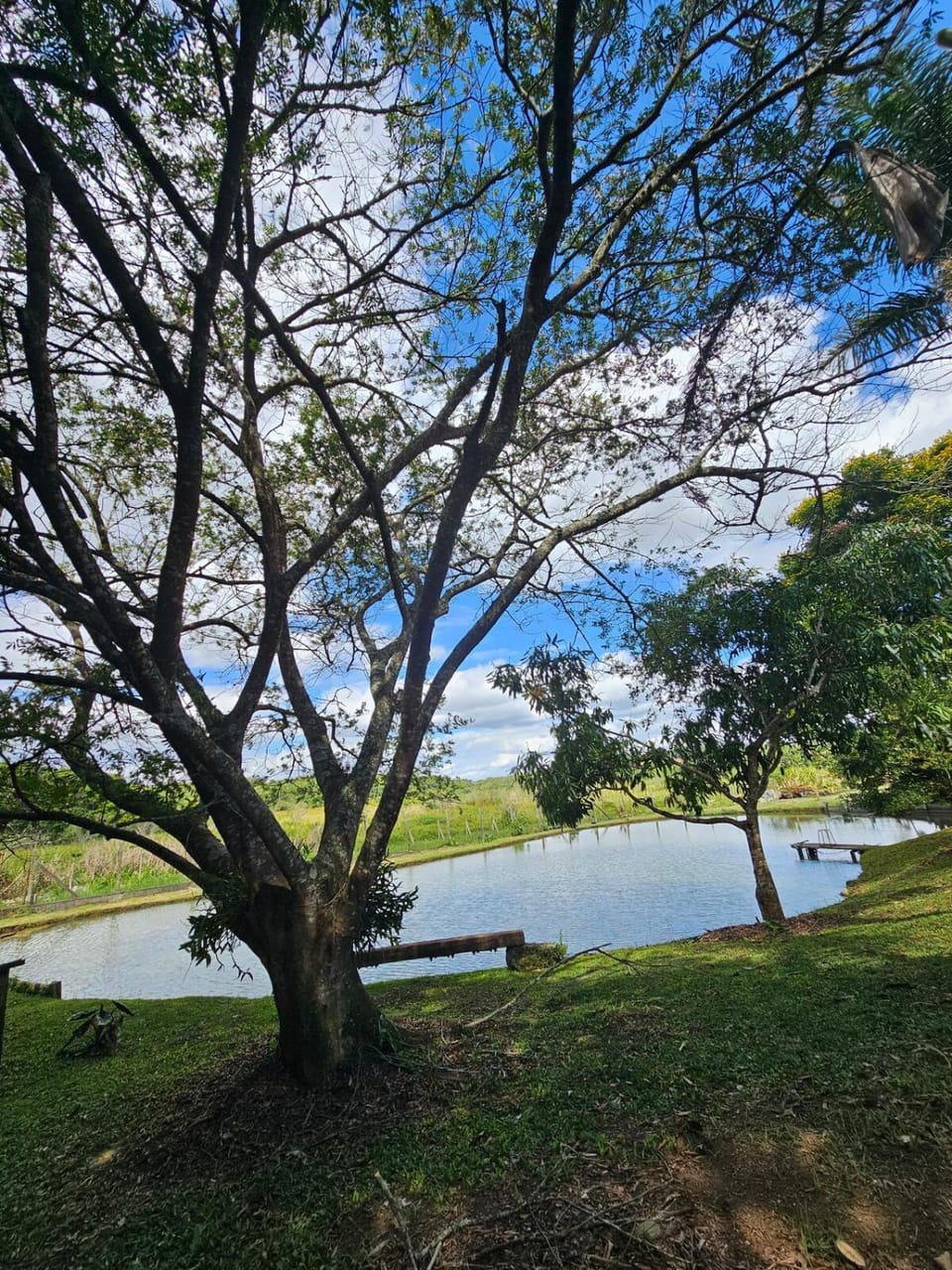 Lake view