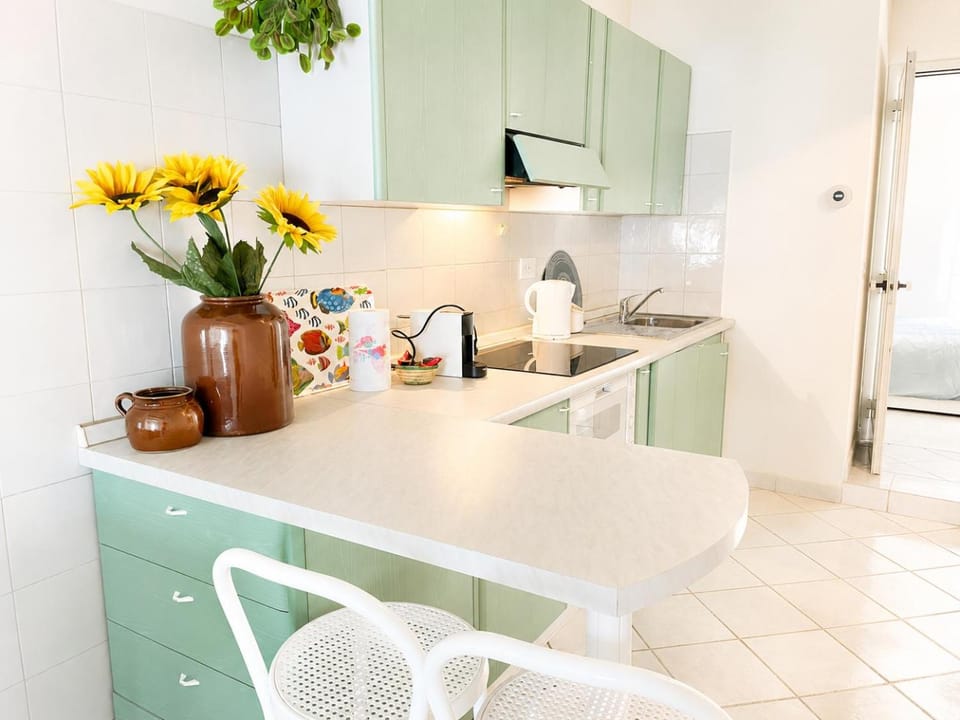 longue 77 Apartment in Menton
