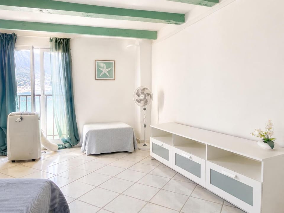 longue 77 Apartment in Menton