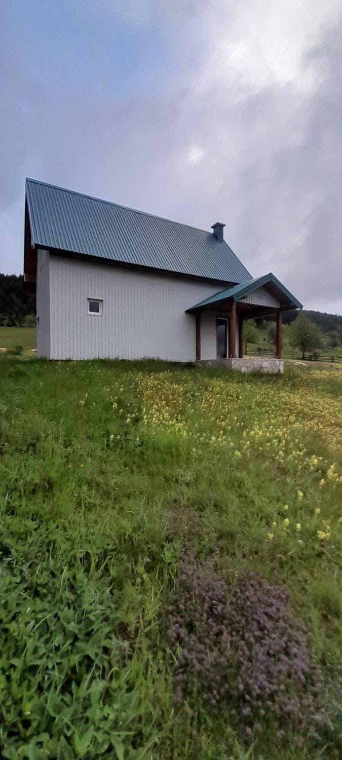 MANN House House in Montenegro