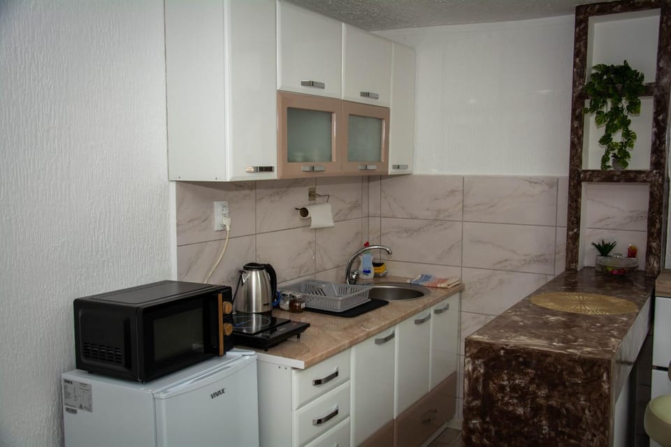 Coffee/tea facilities, Kitchen or kitchenette, minibar, stove