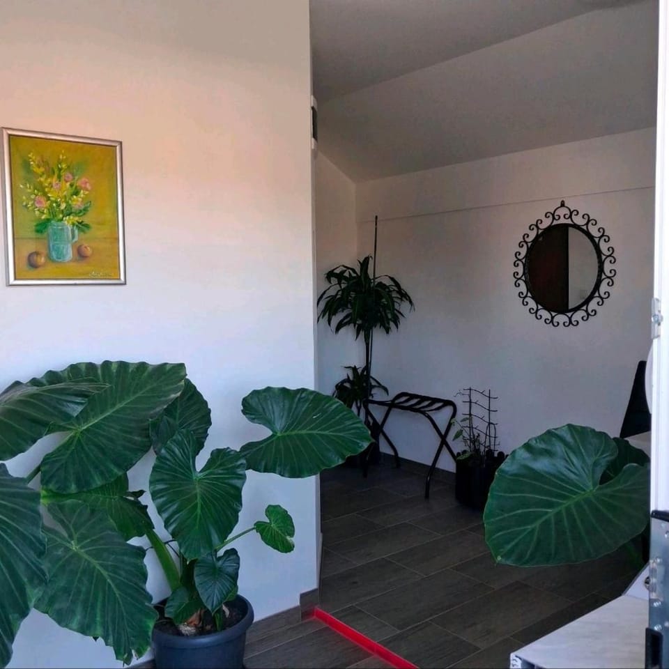 Studio apartmani Atlantik Apartment in Slovenia