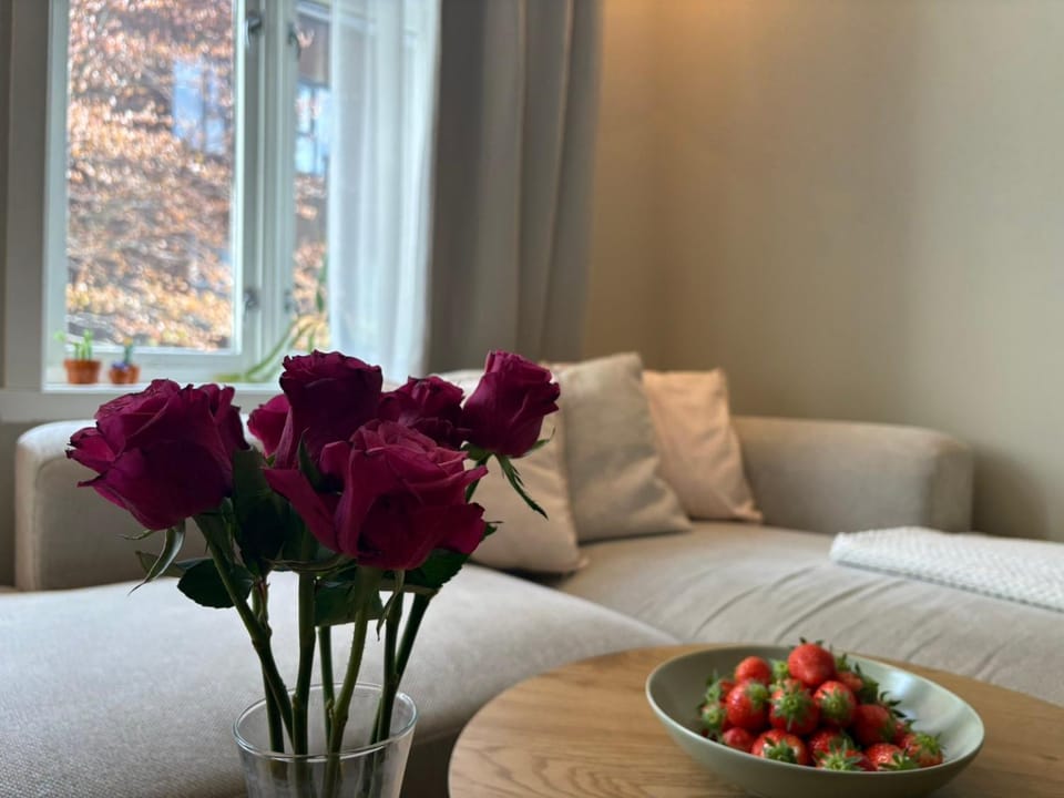 Living room, Photo of the whole room, Decorative detail, Seating area, Garden view