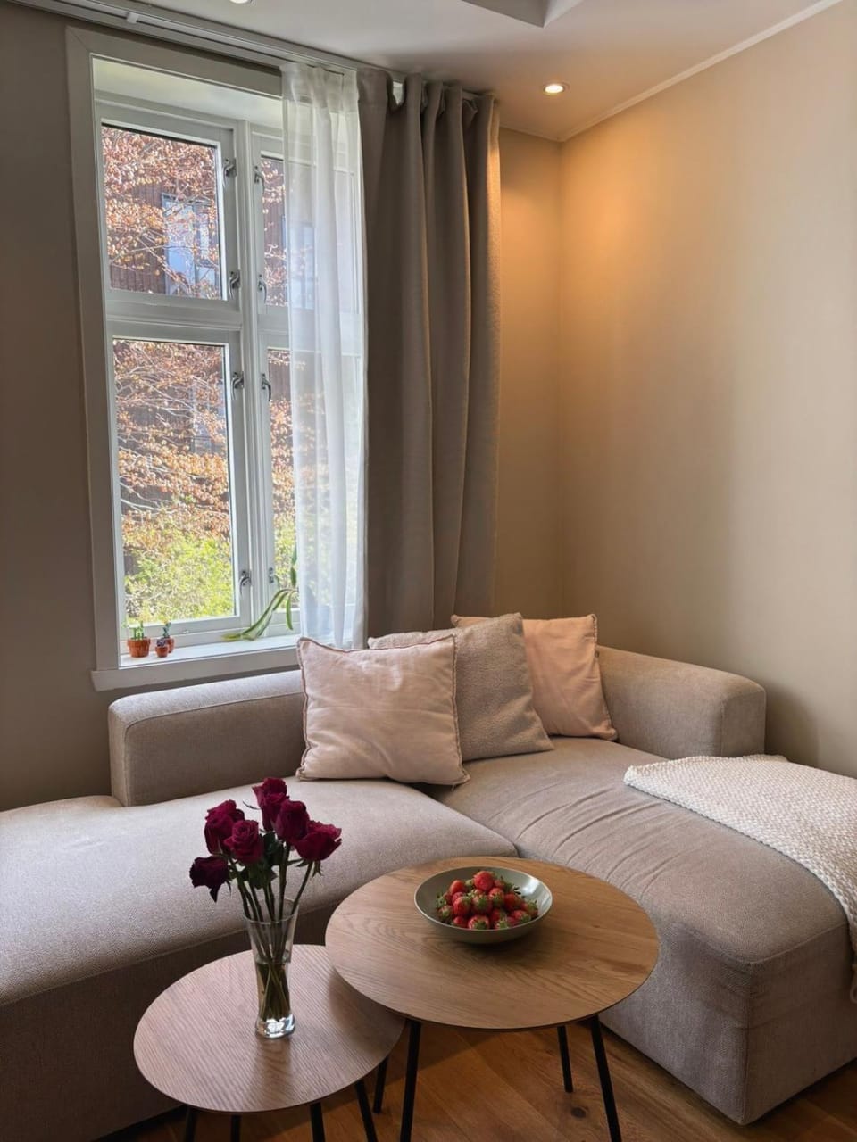Living room, Photo of the whole room, Seating area, Garden view