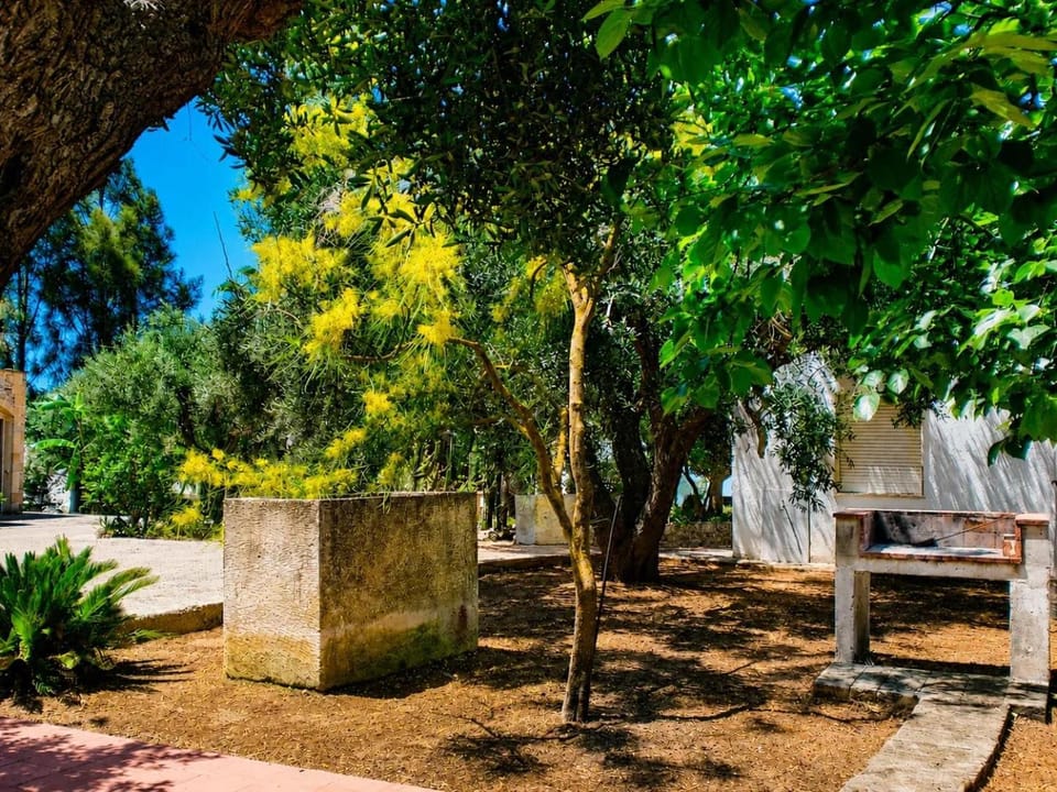 Villeriunite - Villetta numero 1 House in Apulia