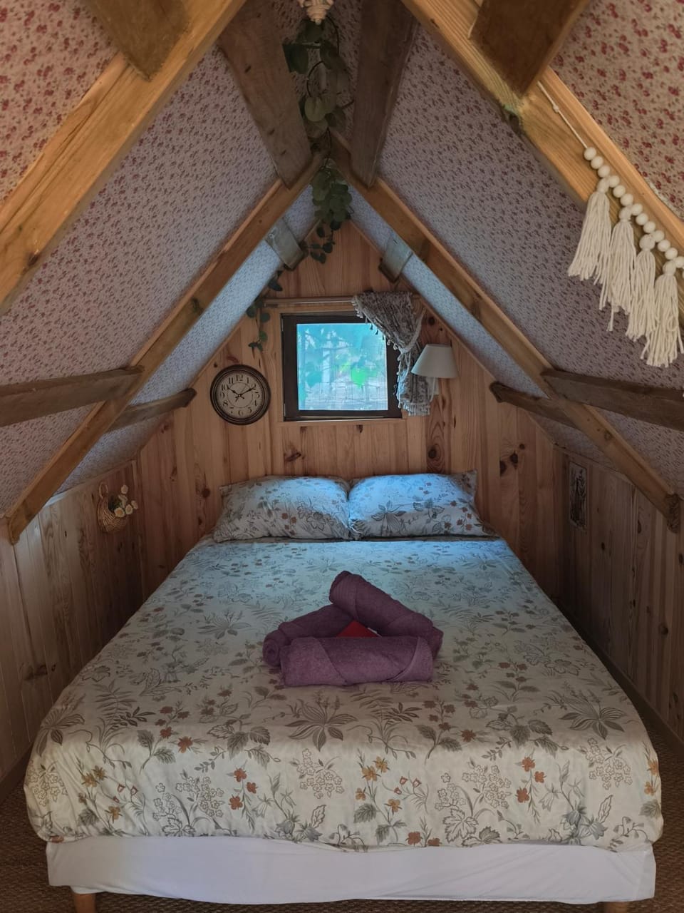 Bed, Photo of the whole room, towels