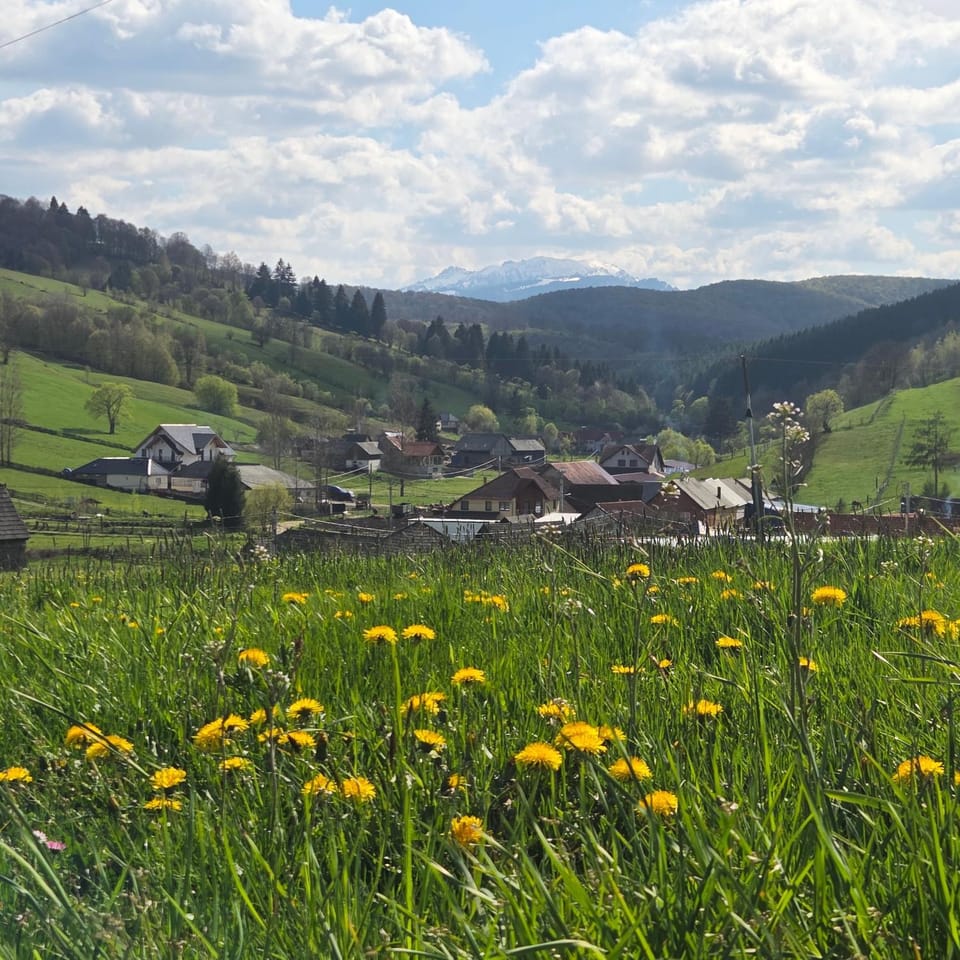 Complex Dealu'Frumos Bed and Breakfast in Brașov County