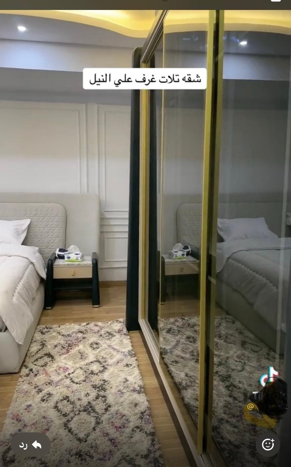 شقه علي النيل مباشره Apartment in Cairo
