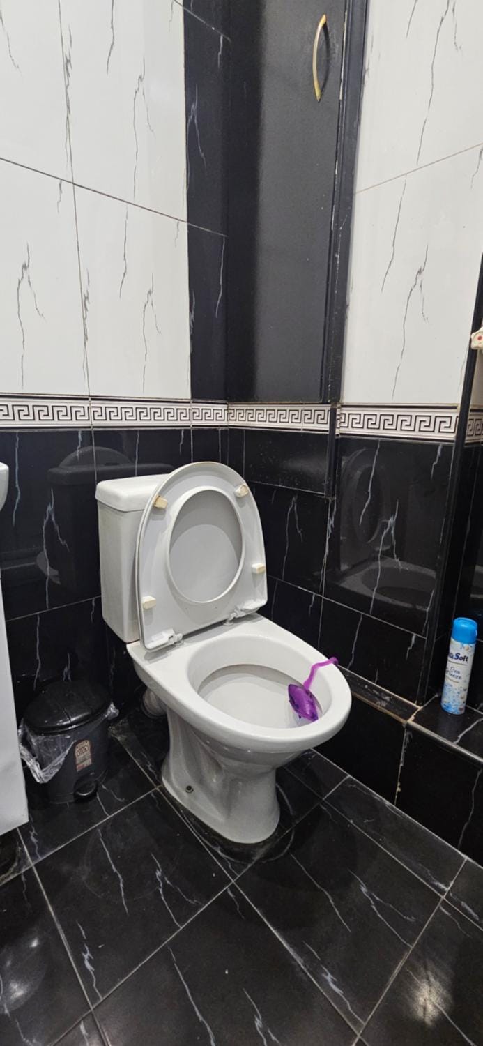 Toilet