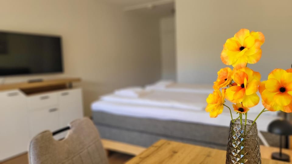 Bed, TV and multimedia, Decorative detail, Dining area