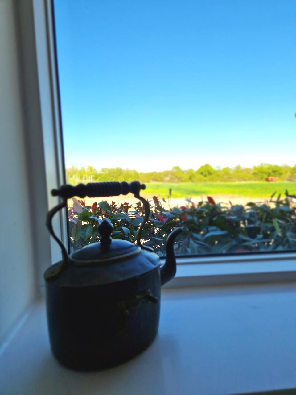 Day, Natural landscape, View (from property/room)