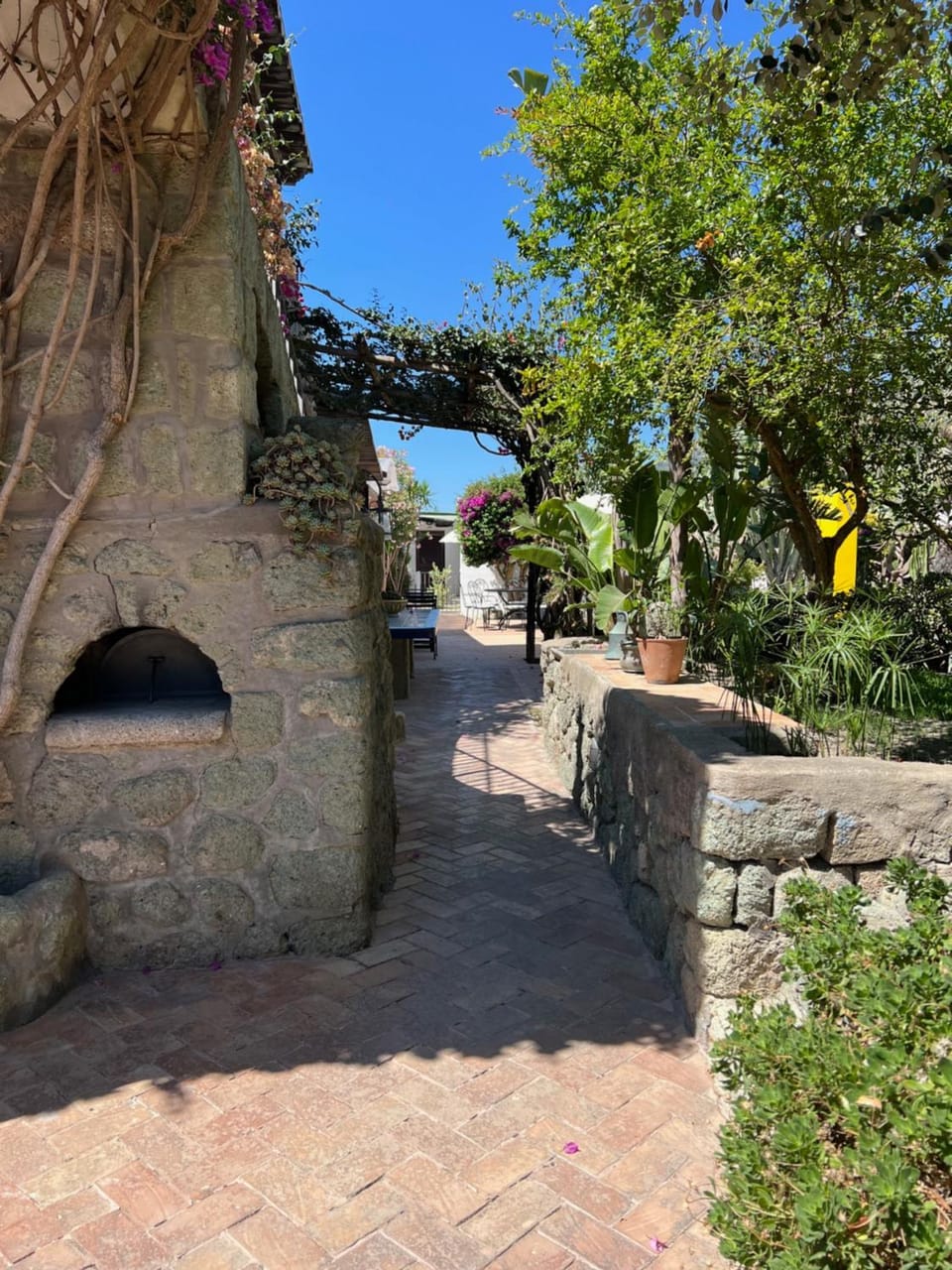 Il Pozzo d'Ischia Adults Only - Monolocale Apartment in Forio