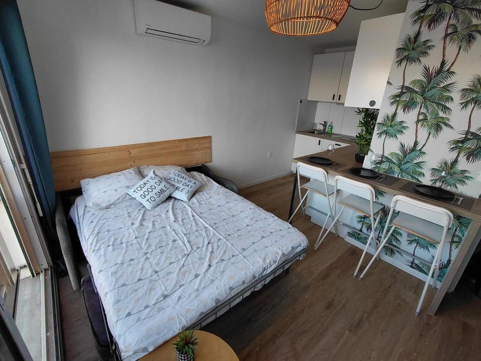 Palavas Bel Appartement rénové 4 personnes avec clim Les Palmiers Apartment in Palavas-les-Flots