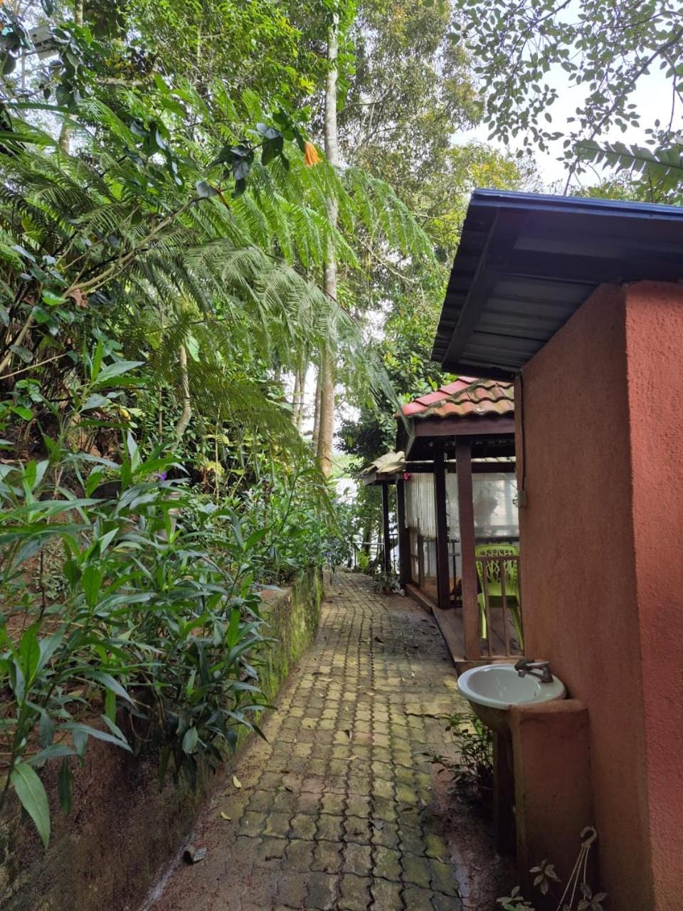 Orchid Chalet Apartment in Tanah Rata